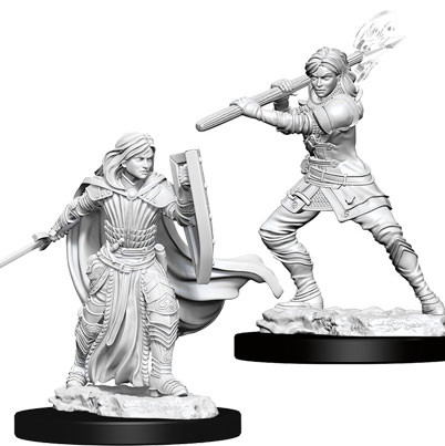 D&D Mini Human Female Paladin